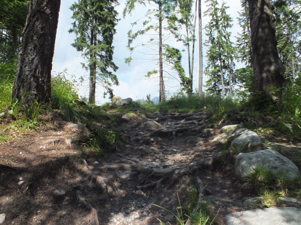 Byt Zuzana Štrbské Pleso Szoba fotó